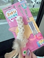 chiko