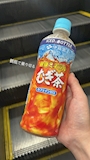 chiko