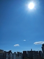 新着ブログ 本日もお待ちしておりま~す💕