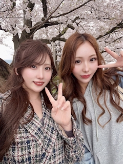 朝日奈 るな【ヒロインカフェ HANA】「✎*。桜木と桜🌸ྀི」