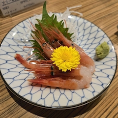 ヒナ