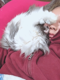 のぞみ「のぞみ」