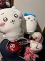 chiko