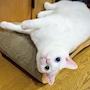 新着ブログ 10月3日♪火曜日♪