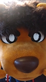 chiko