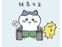 chiko