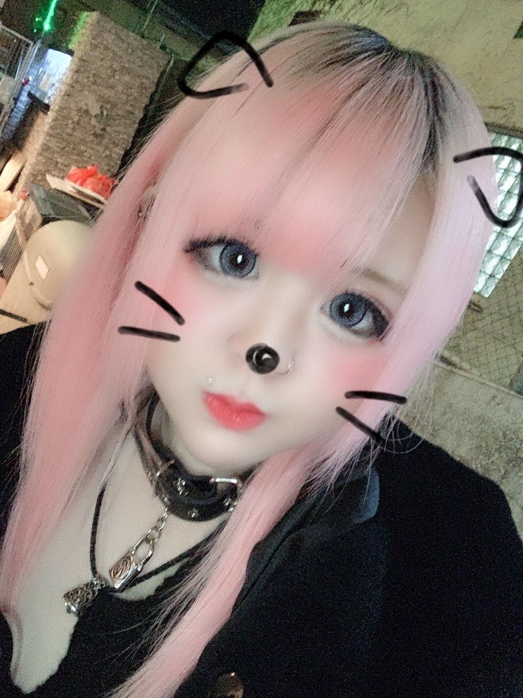 やたら たぬき顔な妖精さんは夜桜だいすきです ぽんこつフェアリーヌじぇしか Girls Music Bar At B アットビー 成田のガールズバー ポケパラ