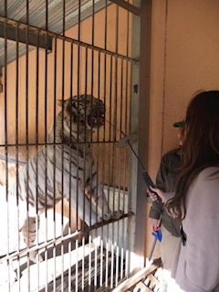 プロフィール写真1・さら｜club Diana・クラブ ディアナ - 古町のクラブ/ラウンジ