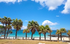 プロフィール写真5・りな·͜·|大阪 熟女キャバクラ・Mrs.J ミナミ