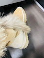 chiko