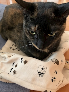 プロフィール写真4・まゆみ｜mrs.J 半田・ミセスジェイ ハンダ - 半田の熟女パブ/熟女キャバクラ