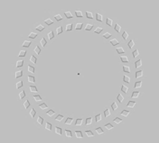 目の錯覚の話 めぐみ 大阪 梅田 熟女キャバクラ 水響 ポケパラ