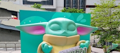 まこ