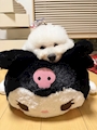 chiko