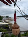 新着ブログ みんな大好きどんぐり松島編