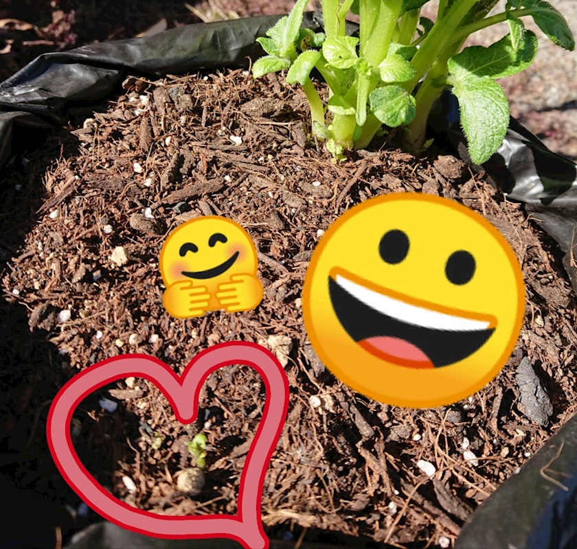 ぽてとすぷらうと 悠 はるか 休業中 Club Athome アットホーム 掛川のキャバクラ ポケパラ