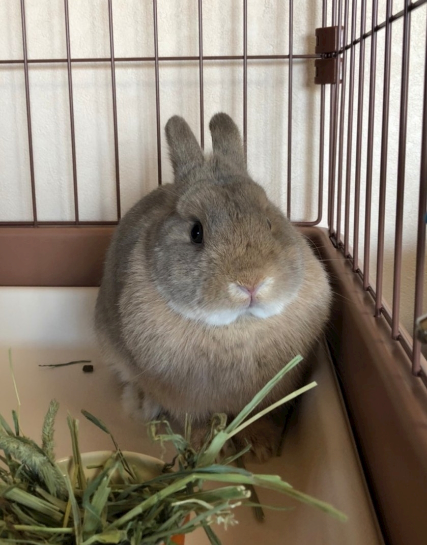 ぷらなりあをしいくする 悠 はるか 休業中 Club Athome アットホーム 掛川のキャバクラ ポケパラ