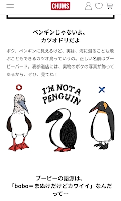しおん