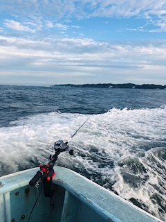 🎣釣りニート🐟一緒に釣りしませんか？ メンバーズ 麻由・マユ - 名古屋 栄のスナック