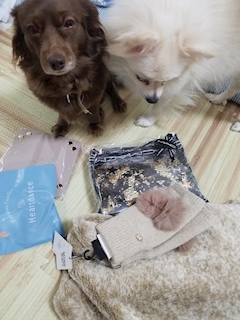美優「☆ありがとう☆」