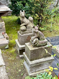 🐟🌷平目めしべ🌷🐟