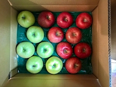 🐟🌷平目めしべ🌷🐟「🍎リンゴ🍏」