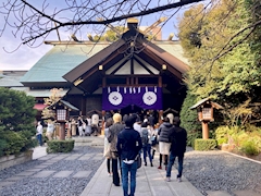 🐟🌷平目めしべ🌷🐟「⛩️東京大神宮⛩️」