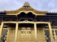 🐟🌷平目めしべ🌷🐟「⛩️初詣 上野東照宮⛩️」
