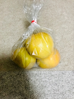 🐟🌷平目めしべ🌷🐟「🍏多摩川梨🍐」