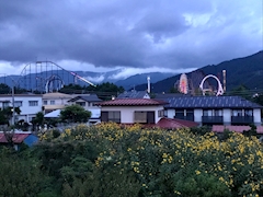 🐟🌷平目めしべ🌷🐟「🗻富士五湖🗻」