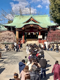 🐟🌷平目めしべ🌷🐟「⛩️🌸亀戸天神社 梅まつり🌸⛩️」