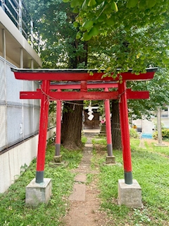 🐟🌷平目めしべ🌷🐟「⛩️🦊松羽稲荷神社🦊⛩️」
