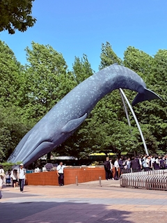 🐟🌷平目めしべ🌷🐟