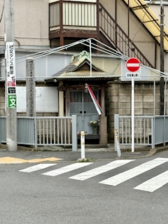 🐟🌷平目めしべ🌷🐟