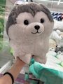 chiko