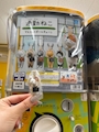 chiko