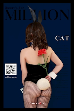 🐈‍⬛🐈_𝗖𝗔𝗧_🐈🐈‍⬛