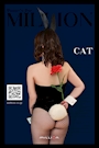 🐈‍⬛🐈_𝗖𝗔𝗧_🐈🐈‍⬛