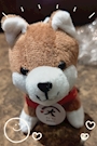 chiko