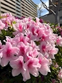 みれい 梅田のスナック・エニータイム