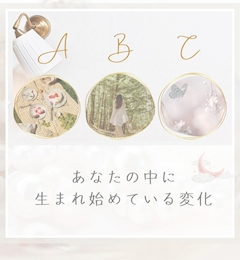 せいこ