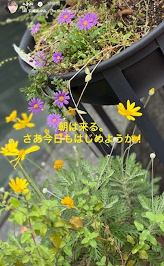 せいこ