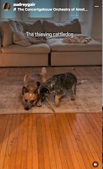 ❤️🧡ふゆた みち🧡❤️Mrs..