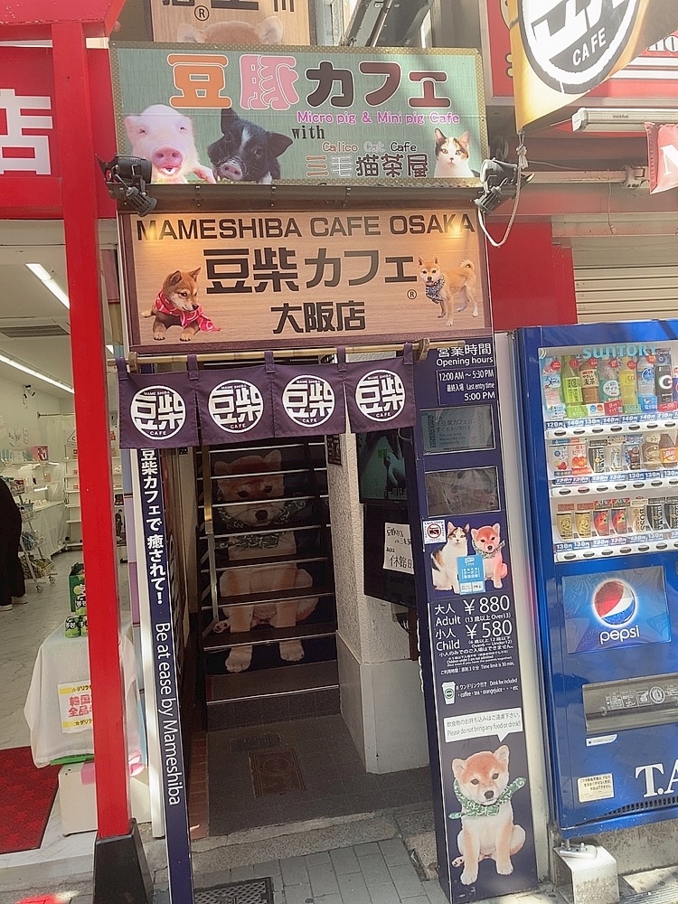 豆しばの世界へようこそ 美香mg Club Briller ブリエ 天満のラウンジ クラブ ポケパラ