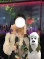 chiko