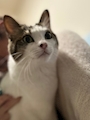 新着ブログ 守りたい、この笑顔