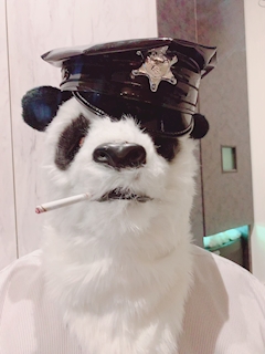 プロフィール写真4・オーナー｜PLUTUS・プルトス - 三重 四日市のスナック