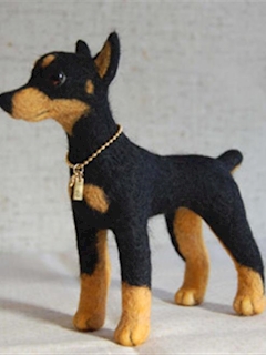 プロフィール写真3・子犬ドーベルマン｜イビザDays・イビザデイズ - 池袋西口の朝・昼ガールズバー