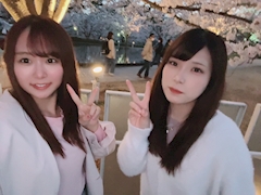 さくら「桜巡り」