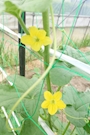 新着ブログ こんばんは(๑´ڡ`